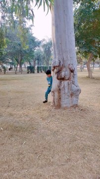 Fa9la song Solomo video #fa9la #reels #shorts