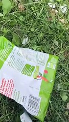 عجايب آدم ولد فرح وعقيل في عرس يومي