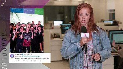 Logan Paul Reacts To Brooke Houts Viral Video