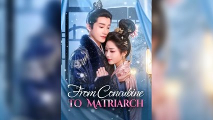 From Concubine to Matriarch - Full HD Movie English Sub