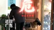 Rather than letting go, he would rather run naked. The man was forced to "freshen up" while walking the dog.