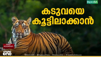 കടുവയെ കണ്ടെത്തി...