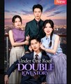 Under One Roof Double Love Story Chinese Drama - English Sub