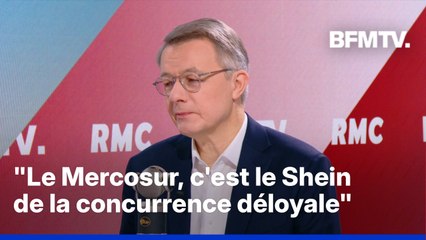 Mercosur, petits colis... L'interview en intégralité de Dominique Schelcher, PDG de Coopérative U