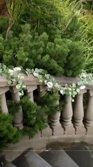 Mafia's Forbidden Catch full movie