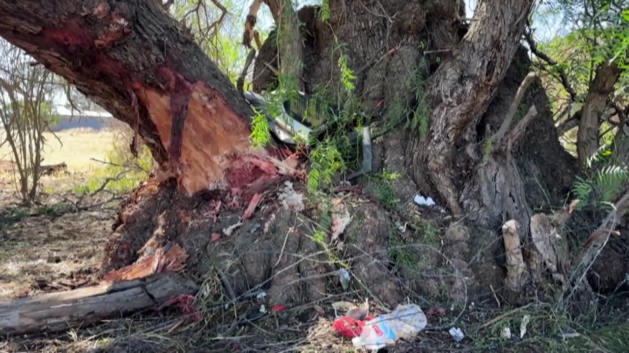 Four adults killed and three children injured in minivan crash in Victoria