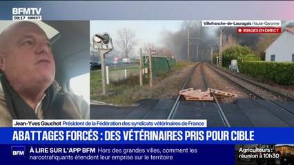 Abattages de bovins: "On a perdu le crédit du discours scientifique", déclare le président de la fédération des syndicats vétérinaires de France