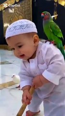 1. "Parrot Reciting Quran – A Peaceful Moment"   2. "Cute Parrot Reads Quranic Verses 🕊️✨"   3. "Spiritual Moment: Quran Recitation by a Parrot"   4. "Amazing Parrot Reciting Su