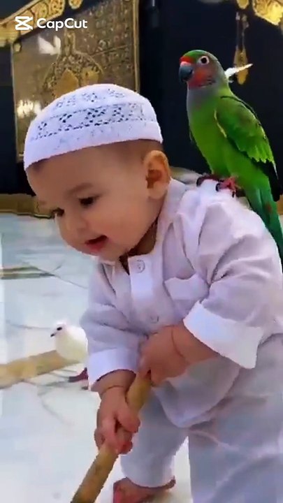 1. "Parrot Reciting Quran – A Peaceful Moment"   2. "Cute Parrot Reads Quranic Verses 🕊️✨"   3. "Spiritual Moment: Quran Recitation by a Parrot"   4. "Amazing Parrot Reciting Su
