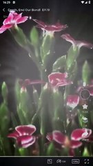 Death, End Our Bond! – FULL MOVIE HD (2025) | Supernatural Romance, Tragic Love & Fantasy Drama