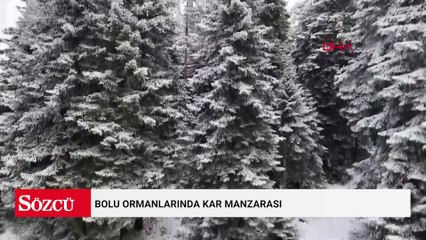 Bolu ormanlarında kar manzarası