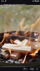 Please, Marry My Husband