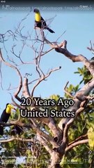 From Lost Heiress To Royal Highness – FULL EPISODE HD (2025) | Secret Royalty, Identity Swap & Romantic Drama