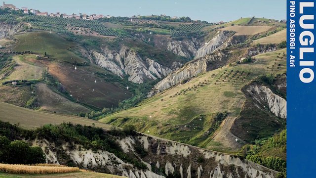 Image from field_mediaid