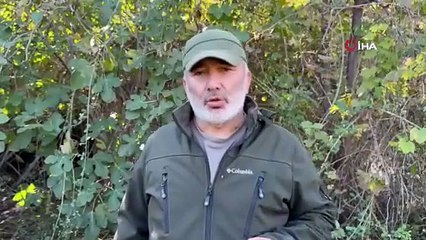 Hayvan barınağında vahşet: ''iyi bakıyoruz'' demişlerdi... Köpekler açlıktan birbirlerini yedi!