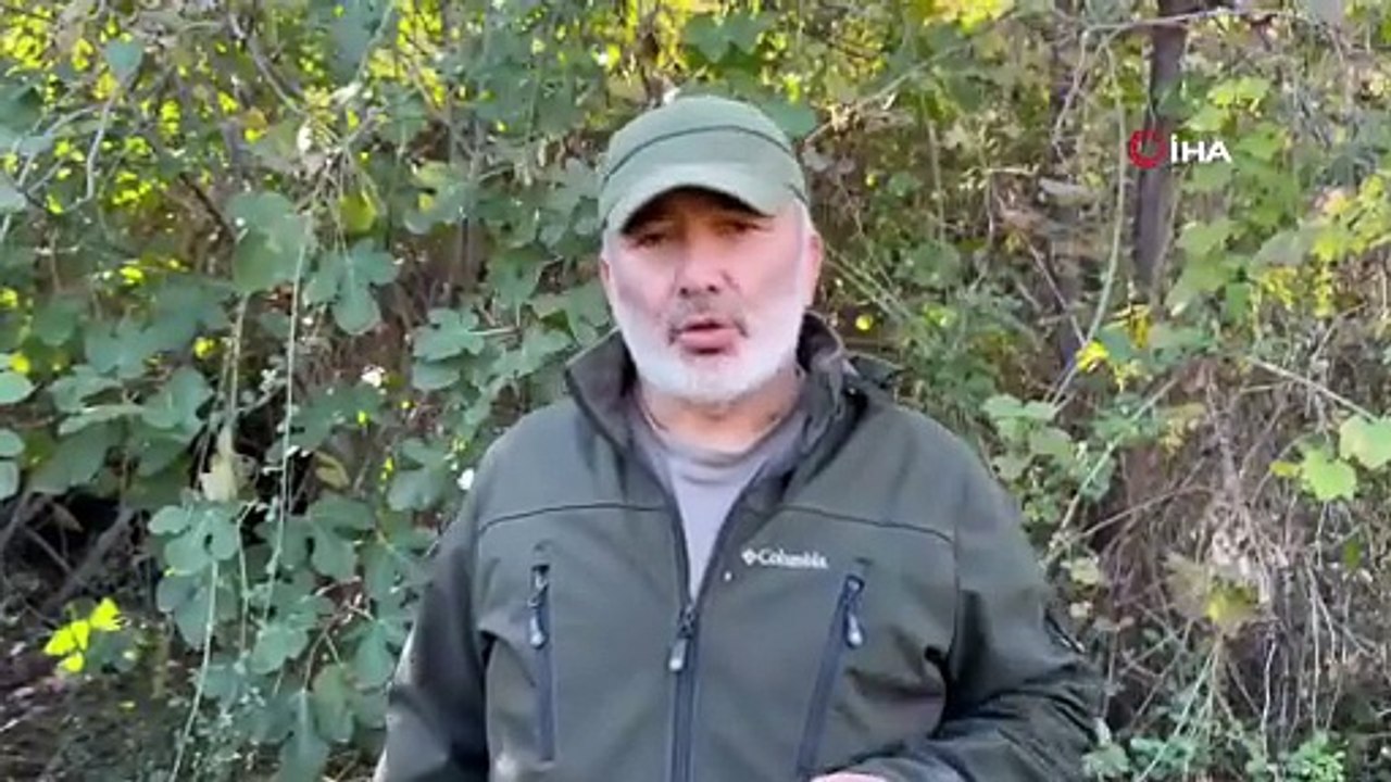 Hayvan barınağında vahşet: ''iyi bakıyoruz'' demişlerdi... Köpekler açlıktan birbirlerini yedi!