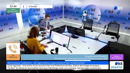 Dermatose nodulaire : "voila comment l'État traite les paysans" dénonce le syndicat ELB mobilisé sur l'A64