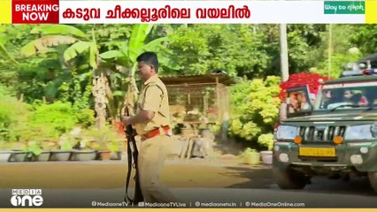 ഒടുവിൽ കടുവയെ കണ്ടെത്തി.. വയനാട് പച്ചിലക്കാട് ഭീതി പരത്തിയ കടുവയെ കണ്ടെത്തി