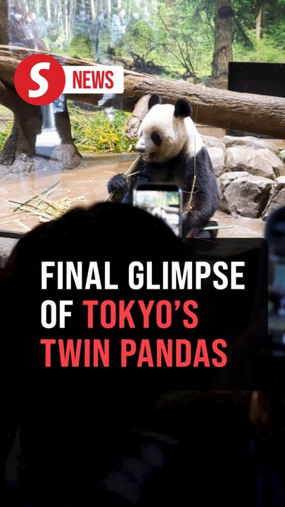 Panda fans flock to Tokyo zoo after Japan announces twins' end-of-era return to China