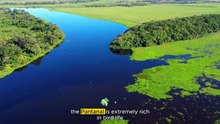 Inside a Jungle Built for Survival, Not Safety