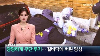 [현장 카메라]당당하게 쓰레기 무단 투기…길바닥에 버린 양심