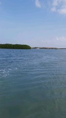 “Waves, Wonders & White Sands — My Farasan Island Journey”