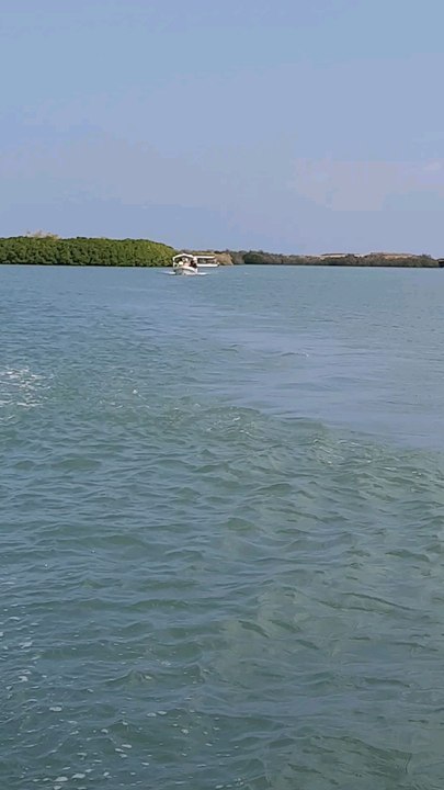 “Into the Turquoise: Exploring Farasan Island’s Magic”