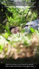 The Surgeon Who Tamed the Regent Chinese Drama