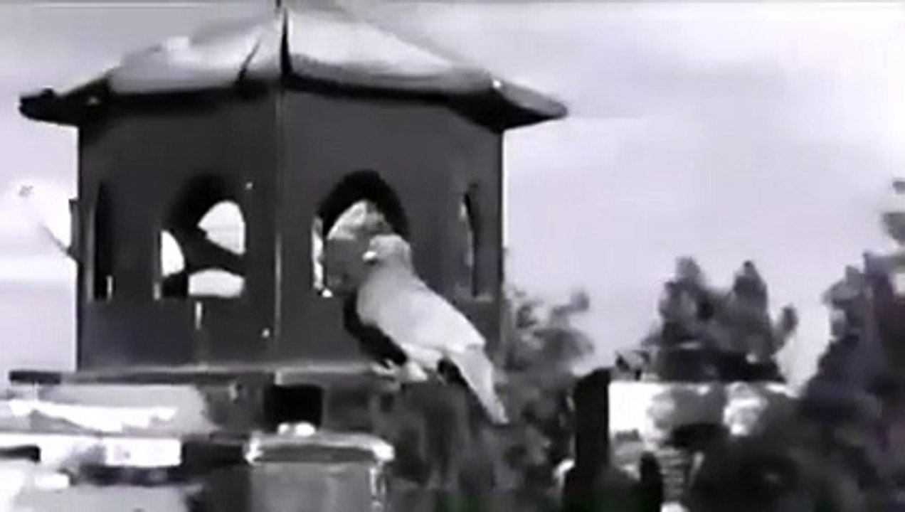 فيلم ارضنا الخضراء ماجده