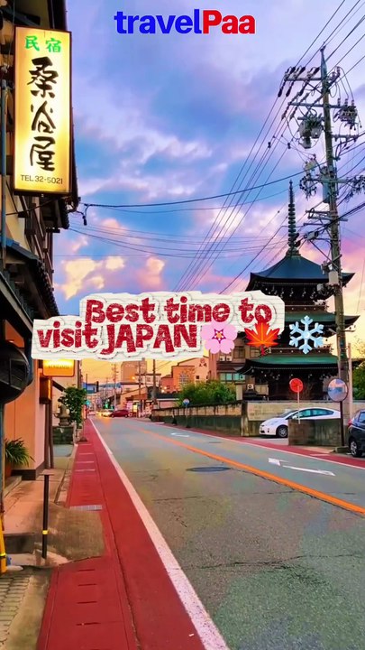 Planning a Japan Trip? Best Time to Visit Japan Explained | Travelpaa Travel Guide