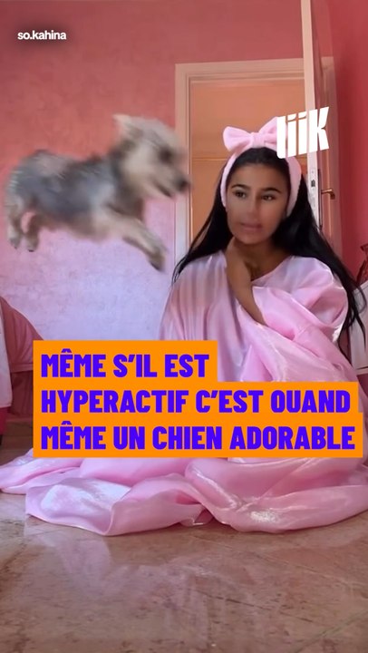 🐕 Jack le chien hyperactif !