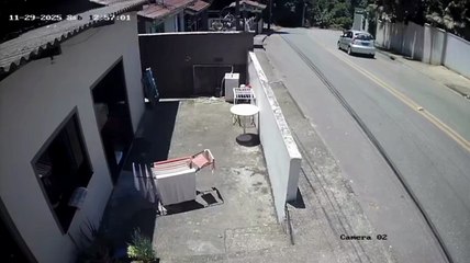 Homem que arrastou cachorro amarrado a caminhão em Blumenau estava sob efeito de drogas, diz polícia