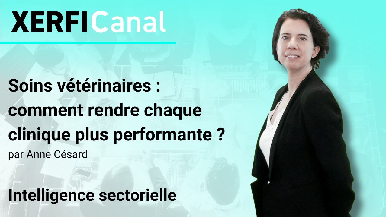 Soins vétérinaires : comment rendre chaque clinique plus performante ? [Anne Césard]