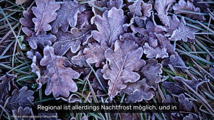 Winter-Comeback an den Feiertagen?: -15 Grad an Weihnachten - Meteorologen aktualisieren Schnee-Prognose