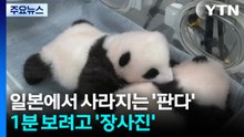 54년 만에 일본에서 사라지는 '판다'...1분 보려고 '장사진' / YTN