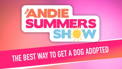 The Best Way To Get A Dog Adopted