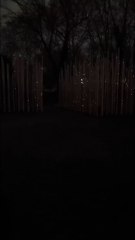 🚨 INSTANT MAGIQUE AU LIGHT CYCLES X Bella_In_Game 🔥 - Vidéo exclusivité Dailymotion