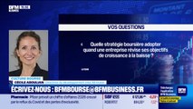 Culture Bourse : « Quelle stratégie boursière adopter quand une entreprise révise ses objectifs de croissance à la baisse ? », par Julie Cohen-Heurton - 16/12