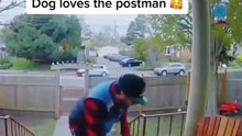 Heartwarming friendship, pure joy.