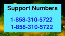 Coinbase Support Number Numbers