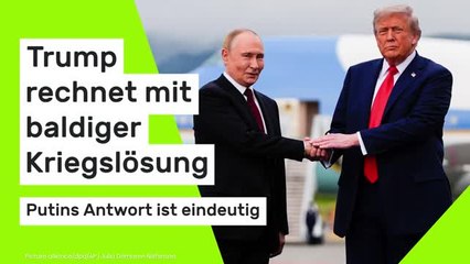 Ukraine-Waffenruhe zu Weihnachten?: Donald Trump rechnet mit baldiger Kriegslösung - Putins Antwort ist eindeutig