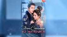 From Concubine To Matriarch Chinese Drama