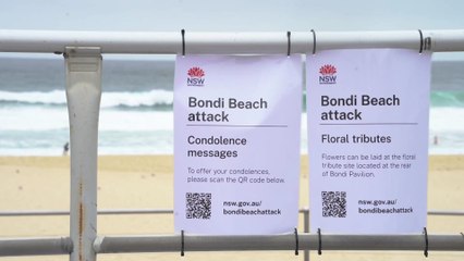 Bondi Beach Tragedy Reignites Debate Over Australia’s Gun Laws