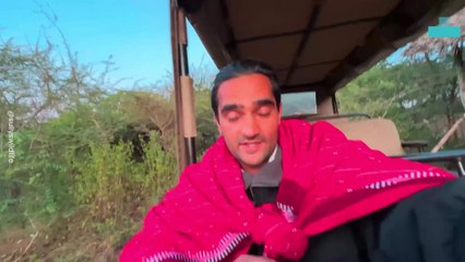 The Great Animal Migrations