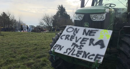 Dermatose nodulaire : les agriculteurs se mobilisent contre l’abattage systématique des bovins en Moselle