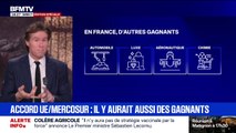 Accord entre l'UE et le Mercosur: quels secteurs pourraient en sortir gagnant?