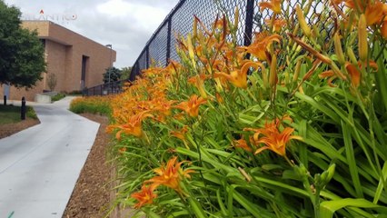 Flash +Que Sostenibilidad: Ley de Cambio Climático en Canarias