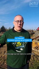 Dermatose nodulaire contagieuse : les agriculteurs mobilisés sur l'A64 près de Toulouse