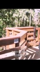 [New] Love Rekindled by Twin Fates #goodshort - Full Movie | Drama Hub