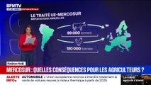 LES ÉCLAIREURS - Accord du Mercosur: quelles conséquences pour les agriculteurs?